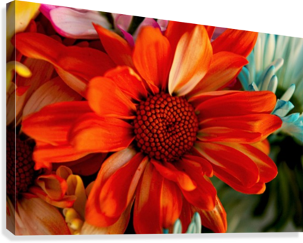 Fps-0040 Canvas Print - Artist (429x344), Png Download