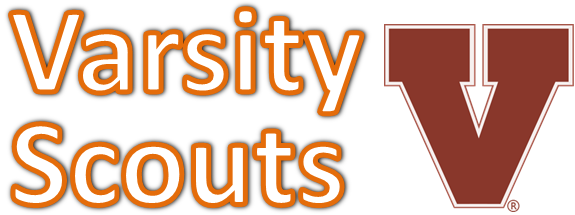 Cub Scout / Boy Scout / - Club Penguin Cheats 2010 (575x215), Png Download