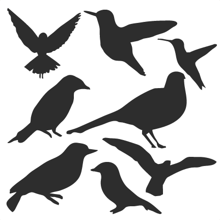 Bird Silhouette Set Svg Scrapbook Title Cat Svg Cut - Free Bird Svg Files (432x432), Png Download