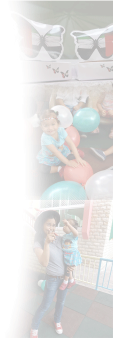 Bg-about - Throw Pillow (300x675), Png Download