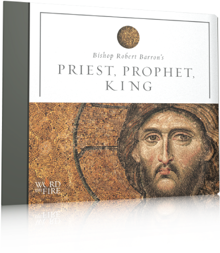 Priest, Prophet, King - Priest, Prophet, King Study Guide By Fr Robert Barron (800x800), Png Download