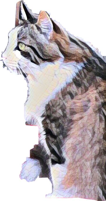 Ruffle (364x688), Png Download