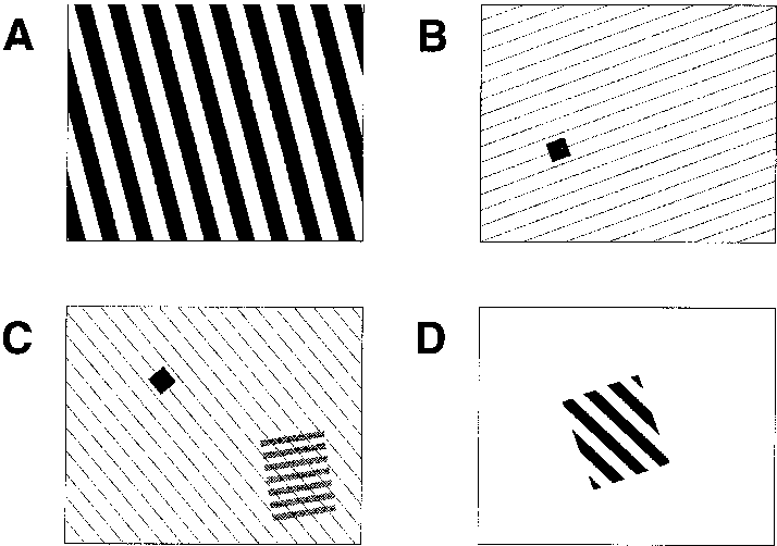 A Spatial Gratings Of Black And White Stripes - Advertising (714x502), Png Download