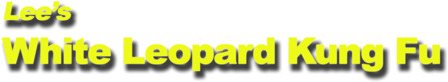 Logo - Kung Fu Stance Leopard (1024x212), Png Download