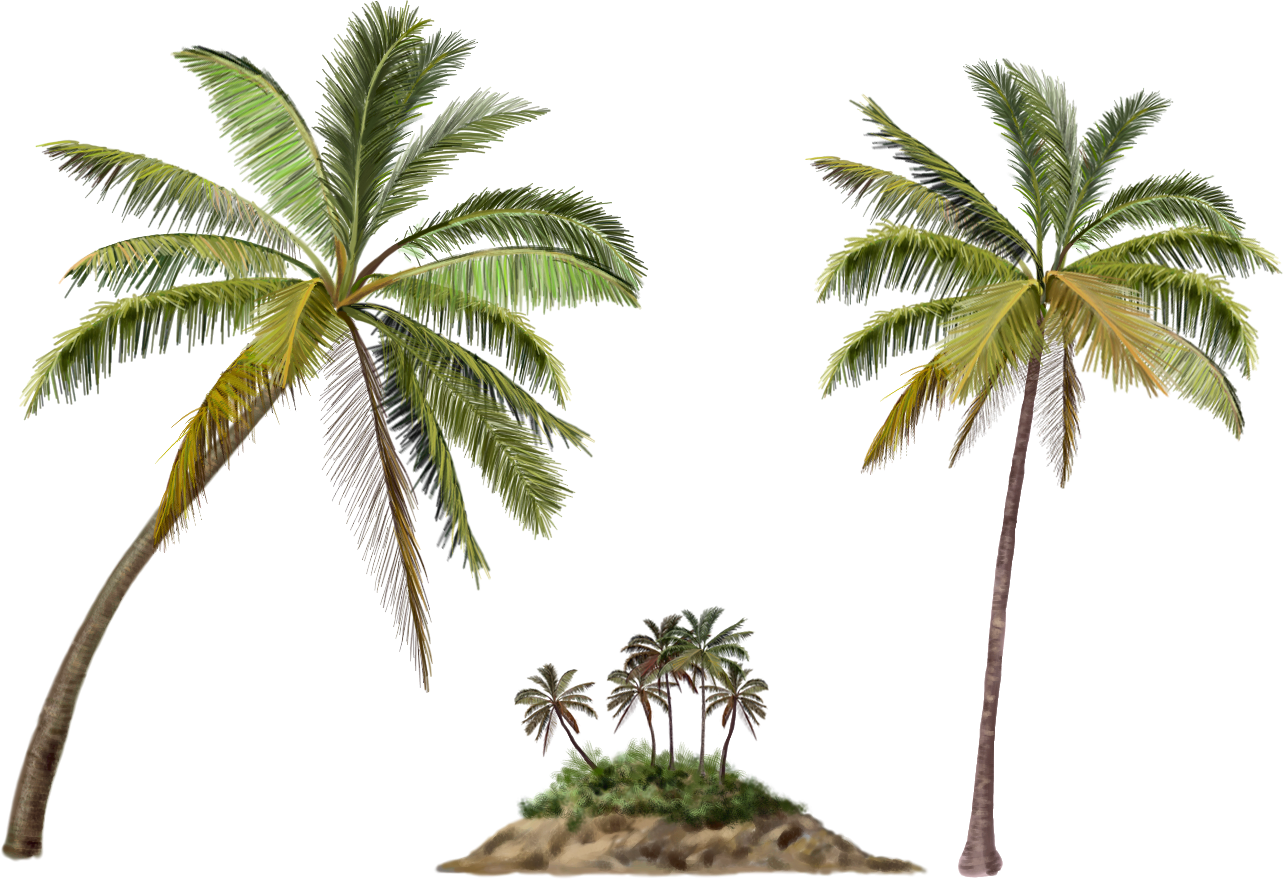 Yükle Palmeras Png Sorgusuna Uygun Resimleri Bedava - Chengcing Lake (1283x879), Png Download