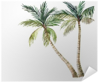 Palm Tree Isolated On White Background - Watercolor Palm Tree (400x400), Png Download
