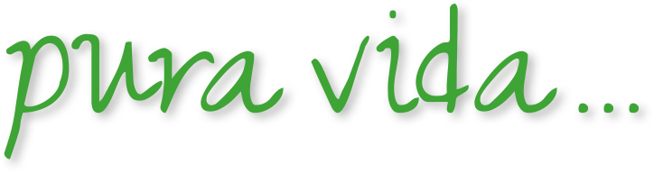 Pura Vida - Pura Vida Costa Rica Png (724x192), Png Download