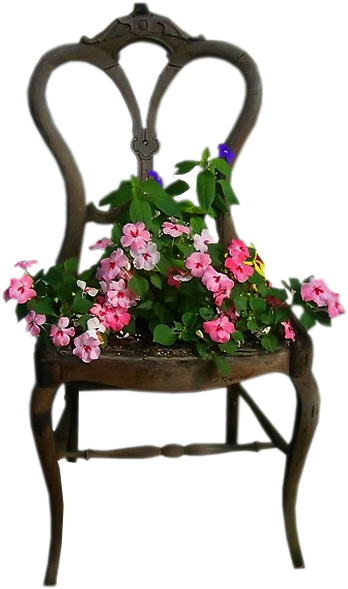 Cattails - Transparent Cattail In Water Png (400x650), Png Download