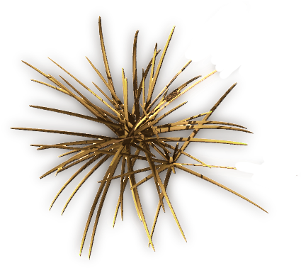 774 Dried Grassclump-g - Pond Pine (448x383), Png Download