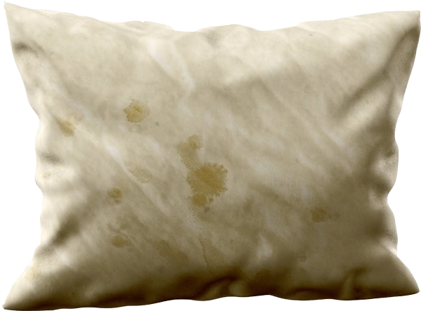 Within 12 To 18 Months, A New Hospital Pillow Will - Pillow (600x443), Png Download