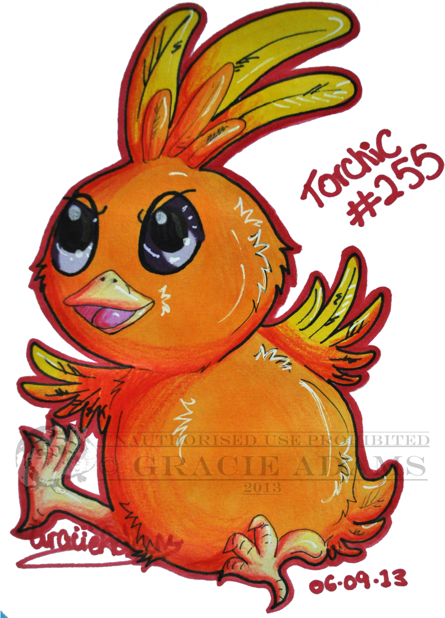 #255 Torchic - Cartoon (923x1250), Png Download