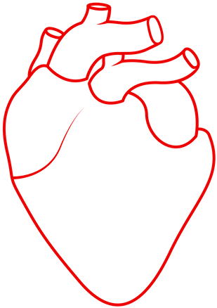 About Dr Rominder Grover - Human Heart Outline (500x500), Png Download