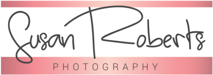Photography Logo - Logo (480x480), Png Download
