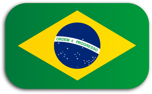 Através Dessa Página Será Possível Ter Acesso A Informações - Brazilian Flag (500x310), Png Download