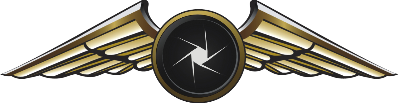 Gm Aerial Photography Logo - Pilot Wings Vector (1282x342), Png Download