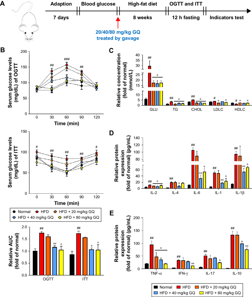 Gq Nanoparticles Restrained Systemic Metabolism Disorder - Systemic Disease (850x1000), Png Download