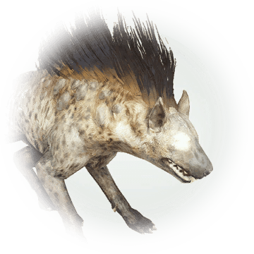 Spotted Hyena - Black Desert Online (360x360), Png Download