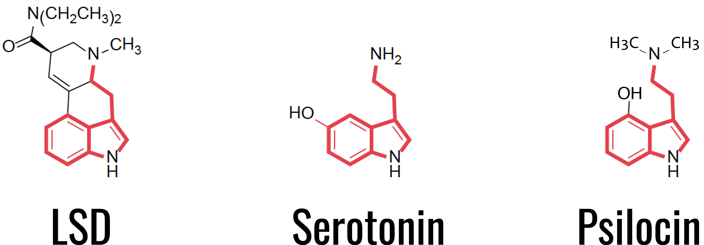 Chemical Structure Of Serotonin, Lsd And Psilocin - Serotonin (2400x868), Png Download