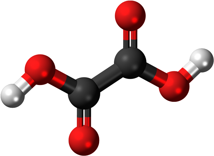 Oxalate Ion In Guava (800x598), Png Download
