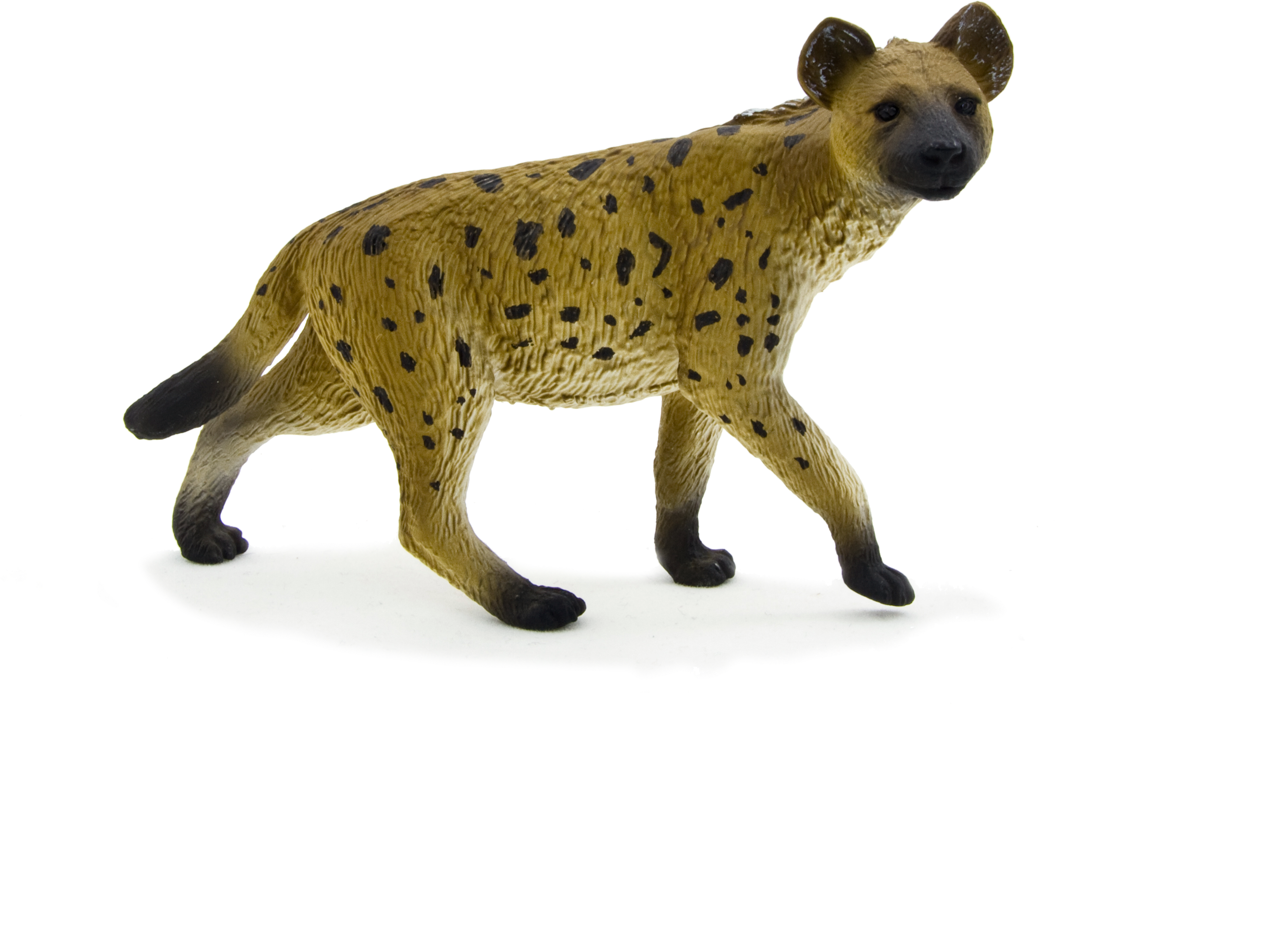 Spotted Hyena Toys (4134x3203), Png Download
