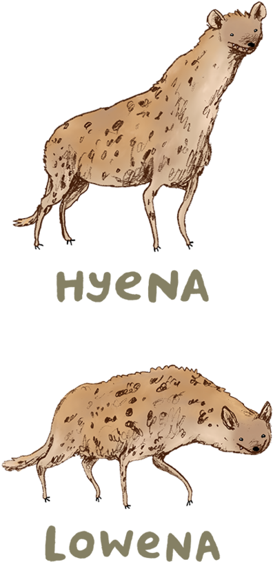 Hyena Lowena (1024x887), Png Download