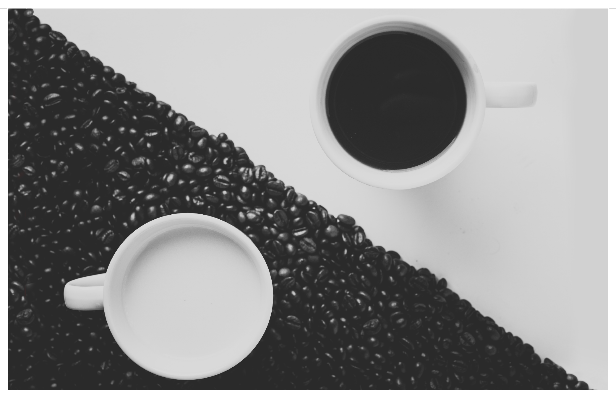 Kitchen Palette - Mosquito - Pablo Moriego - Download (2083x2179), Png Download