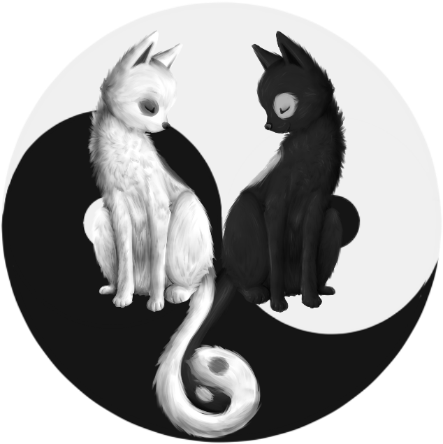 Yin And Yang By Mocha Birdy-d6fxc8l - Yin And Yang Cat Drawing (634x635), Png Download