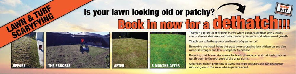 Banner Working Files-01 - Portable Network Graphics (1000x251), Png Download