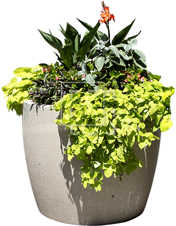 Cutout People - Flower (450x450), Png Download