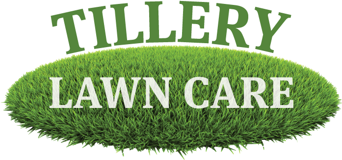 Artificial Turf (780x408), Png Download