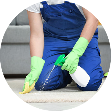 Cleaning Services That Shine - Living Room (375x375), Png Download