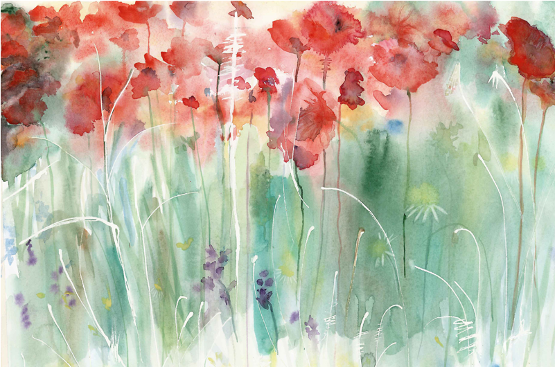 `poppy Pageant' - Watercolor Paint (800x800), Png Download