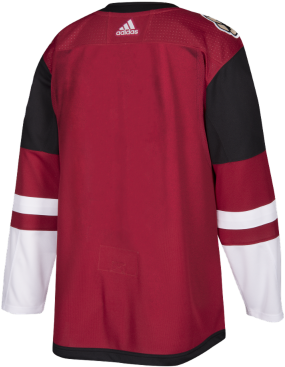 1 / - Arizona Coyotes (400x400), Png Download
