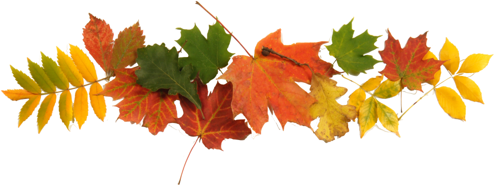 Fall Festival - Catholic Church (1024x400), Png Download