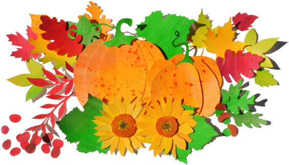 Fall Festival At Nuerenberger Farm St - Easley (870x470), Png Download