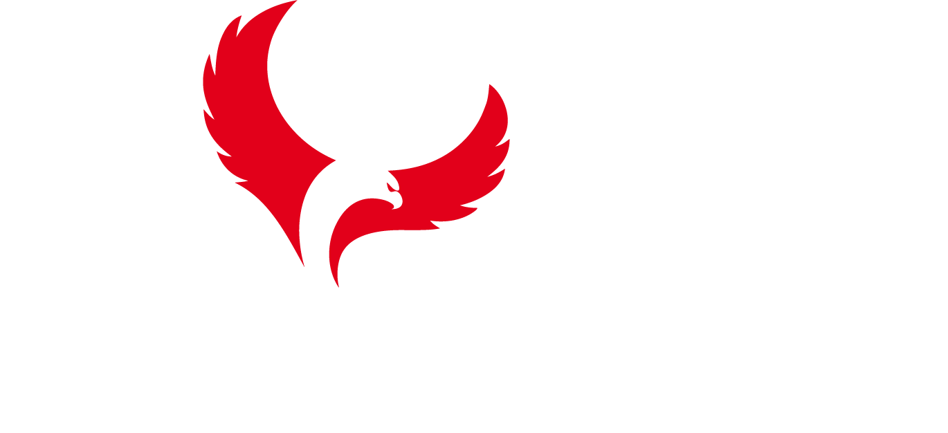 Sea Hawk - Joint-stock Company (1370x626), Png Download