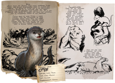Survival Evolved Wiki - Ark Survival Evolved Otter Locations (480x319), Png Download