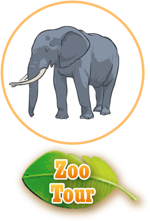 Dinosaur Train Discovery (324x479), Png Download