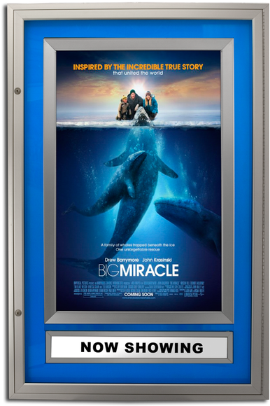 Halolite Series Rear Lit Movie Poster Case - Big Miracle (447x588), Png Download