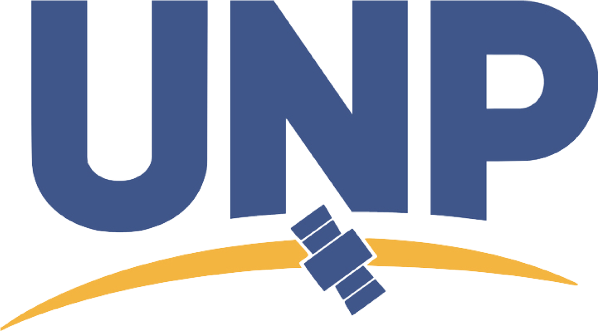 Responsive Image - University Nanosatellite Program Logo (1237x1024), Png Download