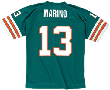 Miami Dolphins Dan Marino 1984 Replica Jersey - Miami Dolphins Jersey (421x480), Png Download
