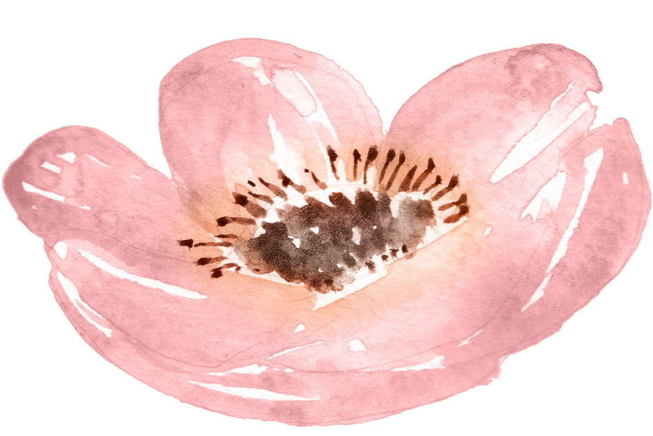 Watercolor Pink Petals Free Illustration - Rosa Acuarela Png (1024x657), Png Download