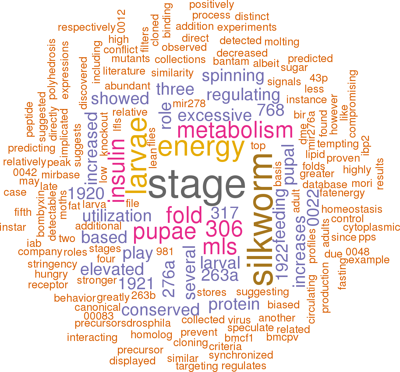 Stem Loop Sequence Bmo Mir - Open Stage (1313x1222), Png Download