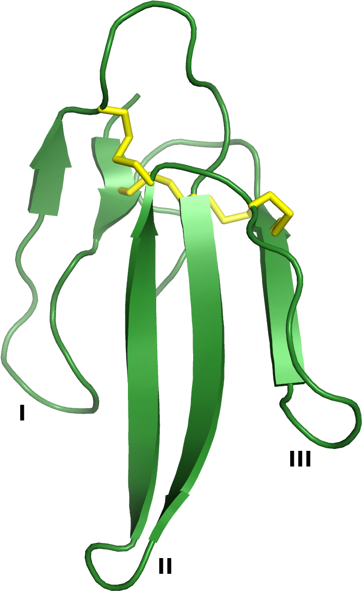 Three Finger Toxin Structure (800x1200), Png Download