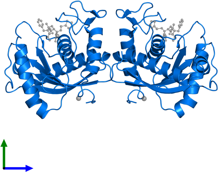 <div Class='caption-body'>pdb Entry 1dth Contains 2 - Snake Venom Metalloproteinase Atrolysin D (800x800), Png Download