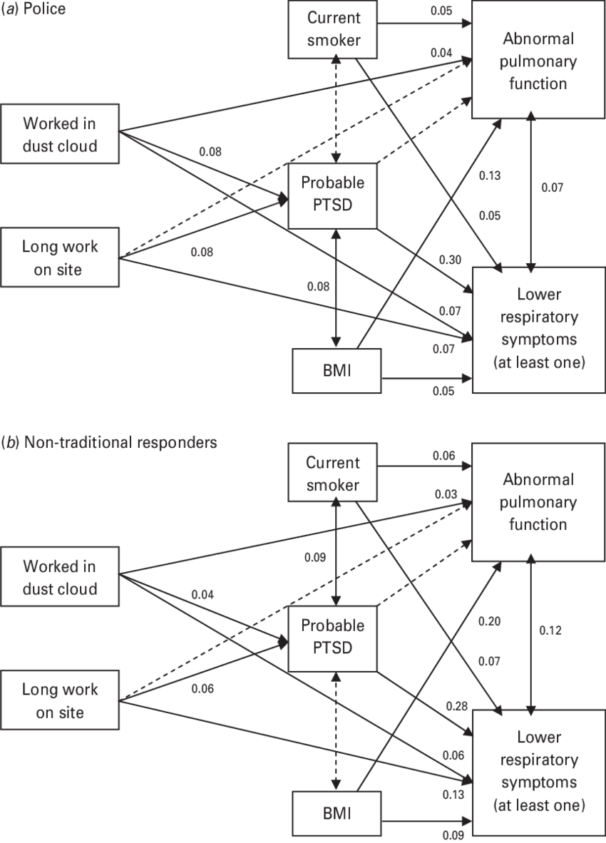 Transparent Library Best Fitting Equation Models For - Path Coefficient (850x1182), Png Download