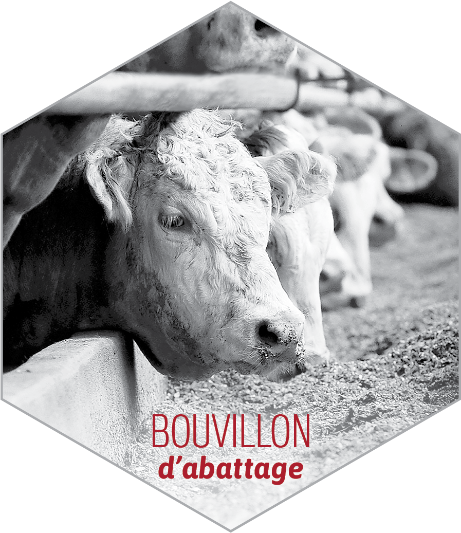 Bovin-128x128 - Livestock (1200x1200), Png Download