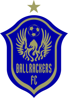 Nike Logo Png Nike Logo Png Howdy Peeps Can I Have - Team Phoenix (291x416), Png Download