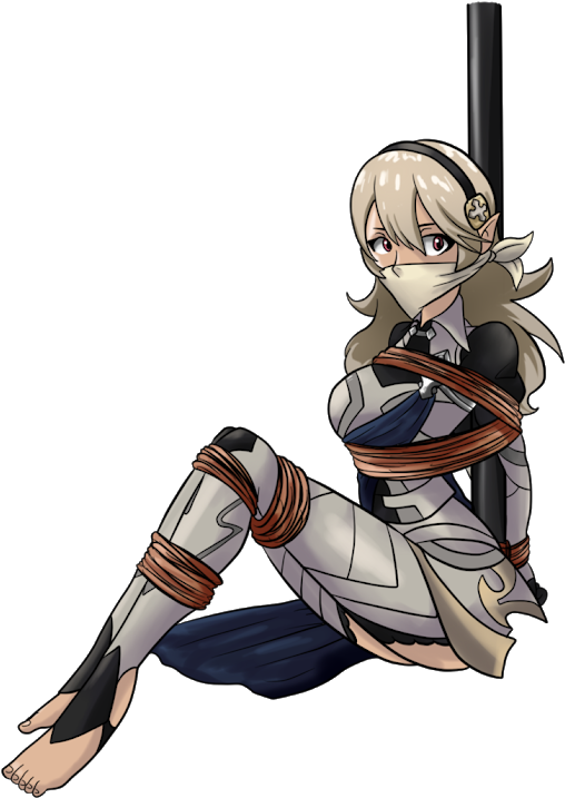 Photo - Corrin Bound And Gagged (530x735), Png Download