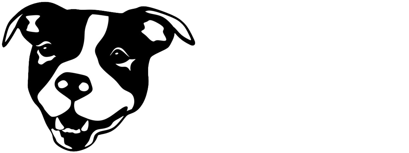 Rockstar Dogs Photography - Dog (1414x567), Png Download